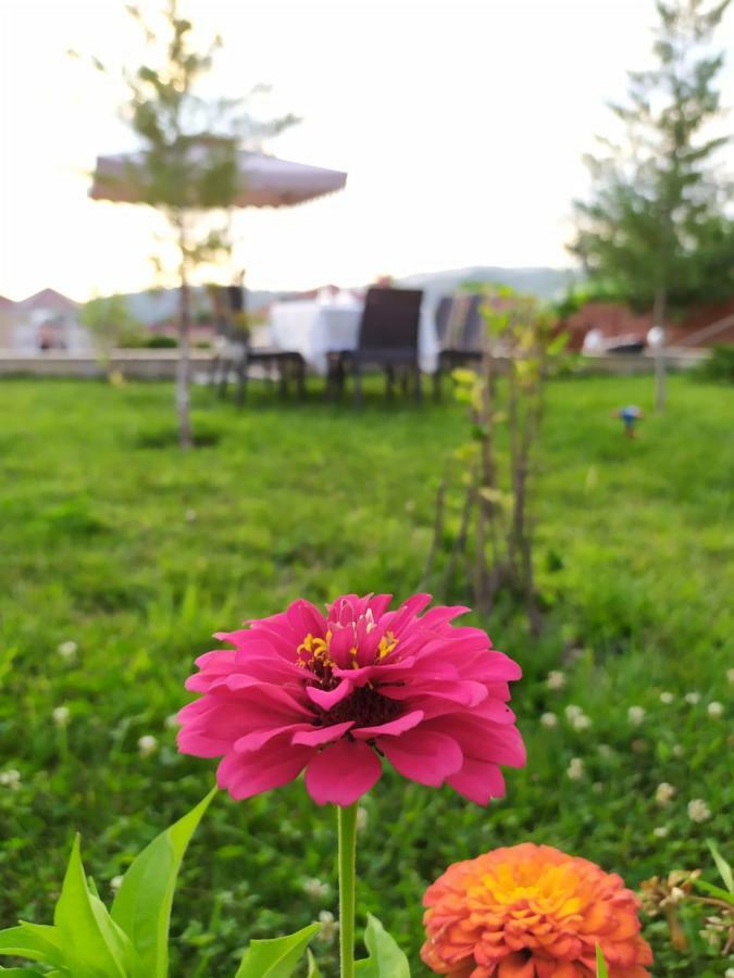Bliss Inn Boutique Hotel غابالا المظهر الخارجي الصورة
